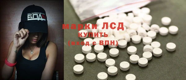хмурый Пересвет