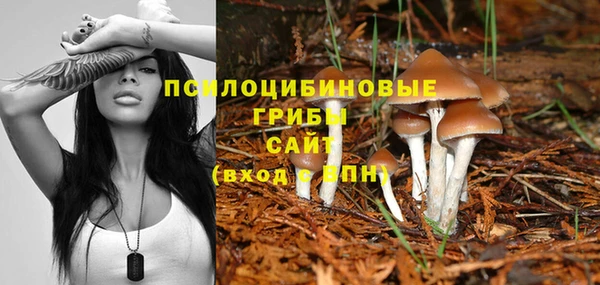 Альфа ПВП Абдулино