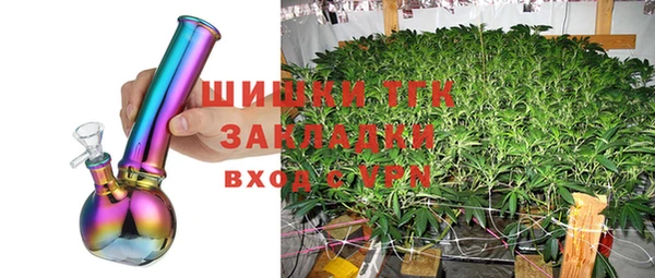 PSILOCYBIN Абаза