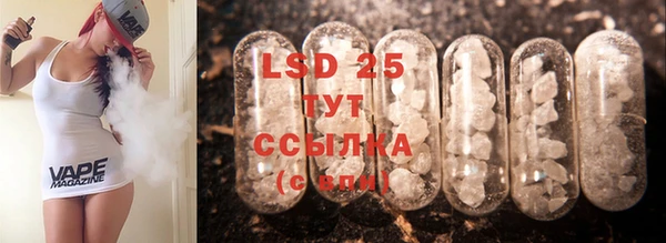 ECSTASY Белая Холуница