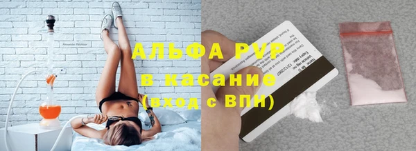 хмурый Пересвет
