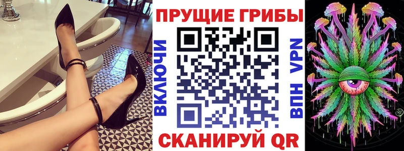 kraken зеркало  хочу   Калач  Галлюциногенные грибы мицелий 